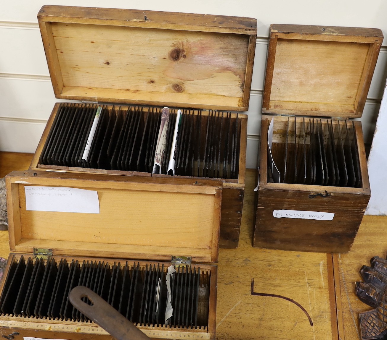 A selection of various photographic portrait, botanical, architectural slides depicting Victorian social history, cased